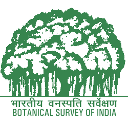 भारतीय वनस्पति सर्वेक्षण (BSI)