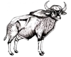 भारतीय प्राणिशास्त्रीय सर्वेक्षण (ZSI)