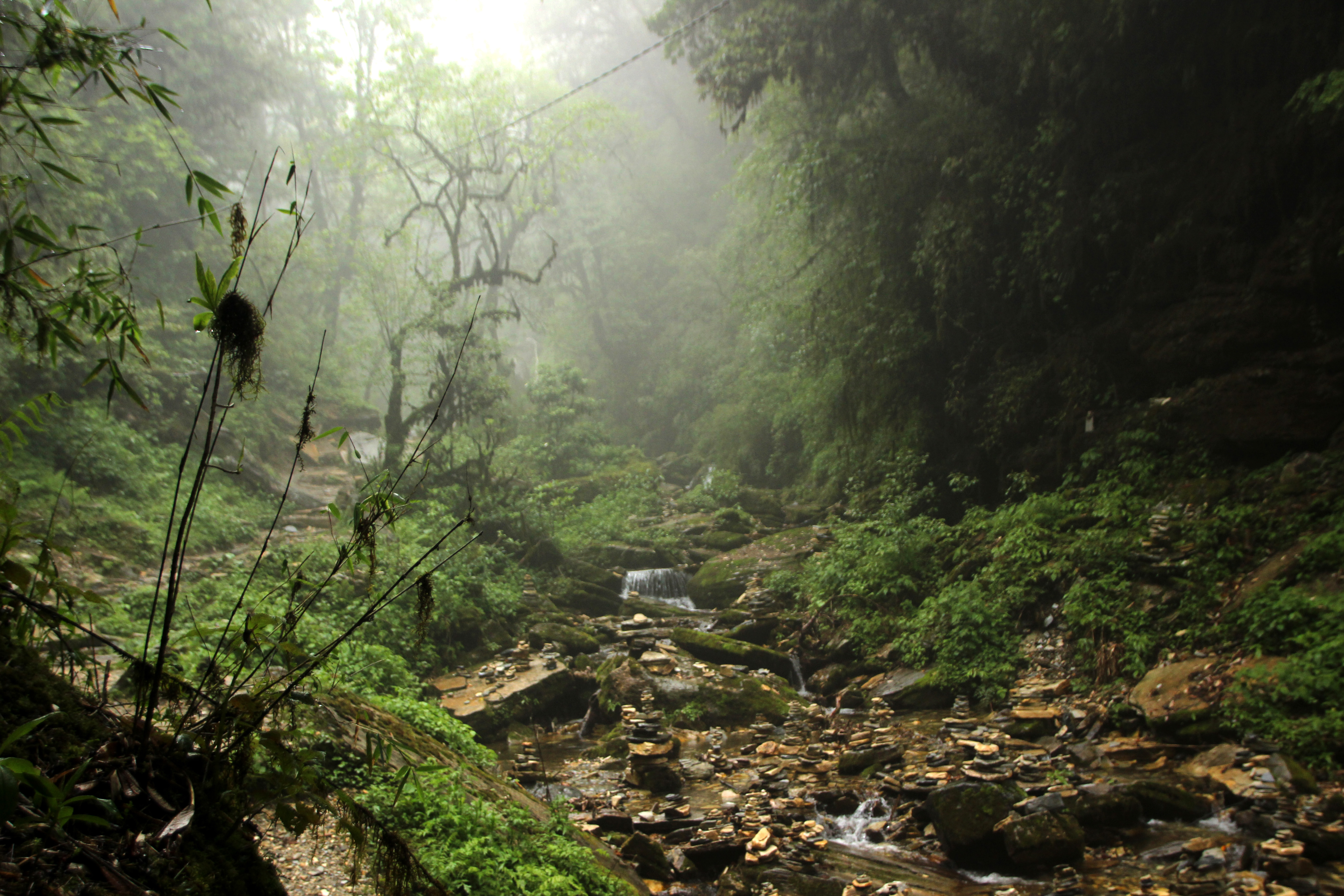 अल्लापल्लीची महिमा