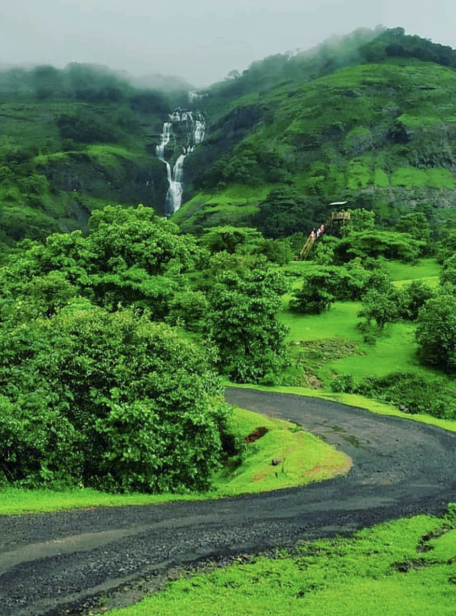 Biodiversity Landscape